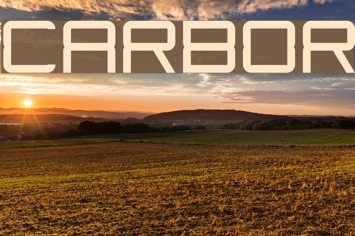 Carbor Font examples