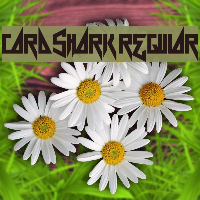 Card Shark Regular Font examples