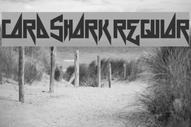 Card Shark Regular Font examples