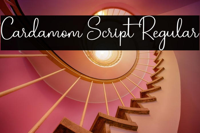 Cardamom Script Regular Example 1