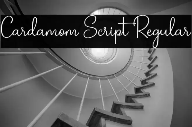Cardamom Script Regular फ़ॉन्ट examples