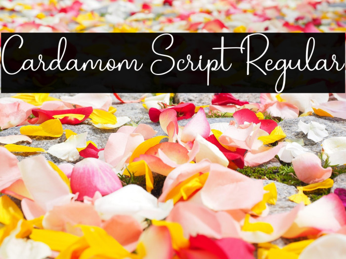 Cardamom Script Regular Example 2