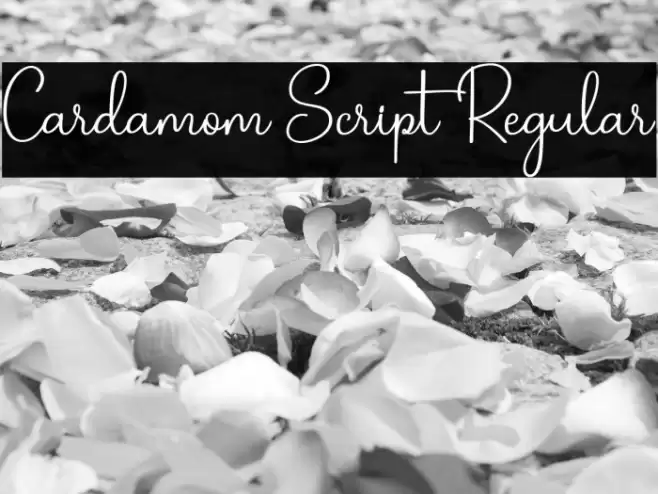 Cardamom Script Regular फ़ॉन्ट examples