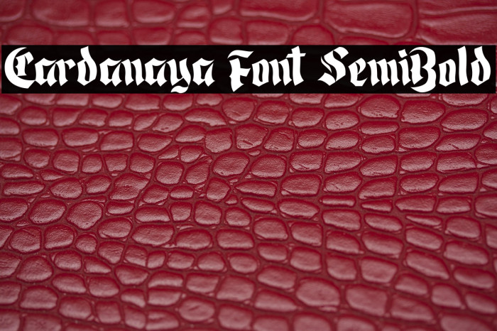 Cardanaya Font SemiBold Example 1