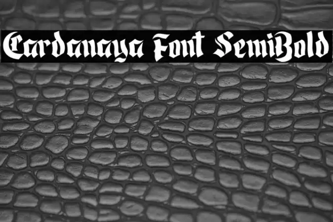 Cardanaya Font SemiBold Font examples
