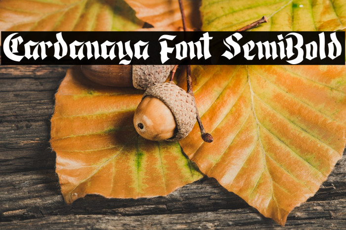 Cardanaya Font SemiBold Example 2