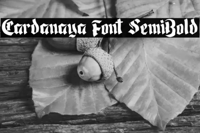 Cardanaya Font SemiBold Font examples