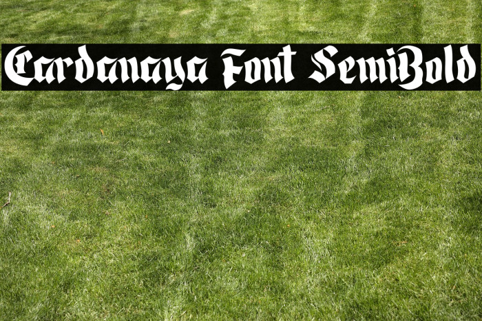 Cardanaya Font SemiBold Example 3