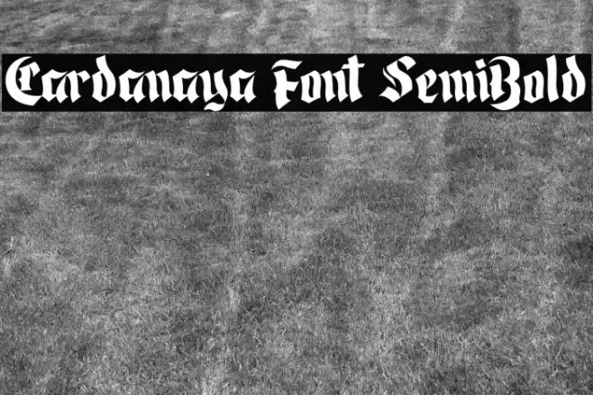 Cardanaya Font SemiBold Font examples