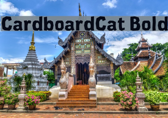 CardboardCat Bold Font examples