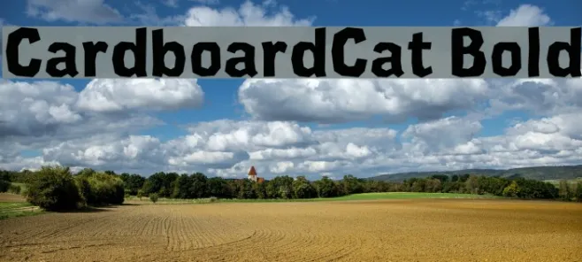CardboardCat Bold Example 3