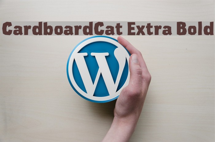 CardboardCat Extra Bold Font examples