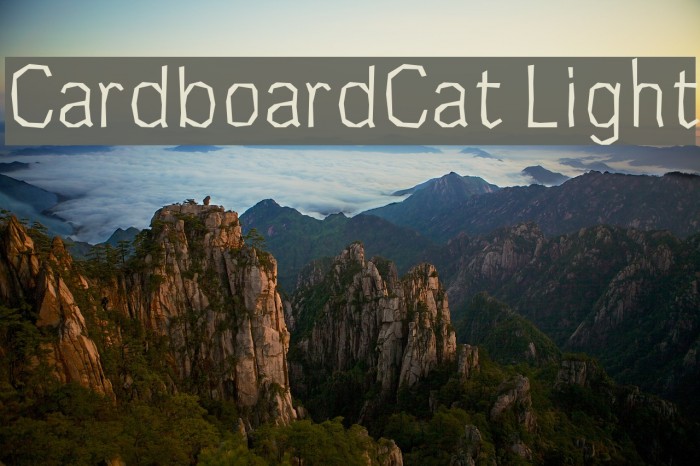 CardboardCat Light Шрифта examples