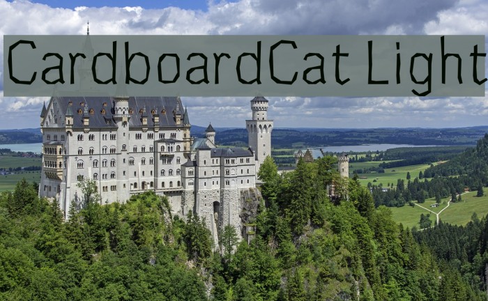 CardboardCat Light Шрифта examples
