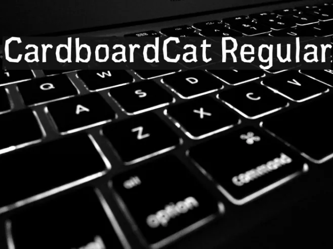 CardboardCat Regular Example 1