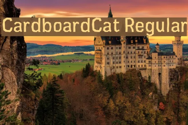CardboardCat Regular Example 3