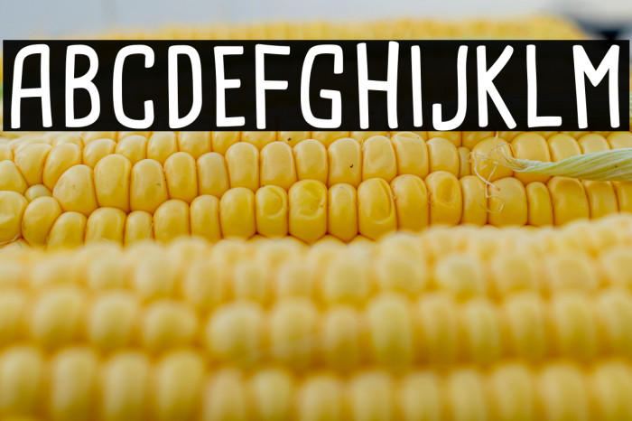 Cardenio Modern Bold Example 1