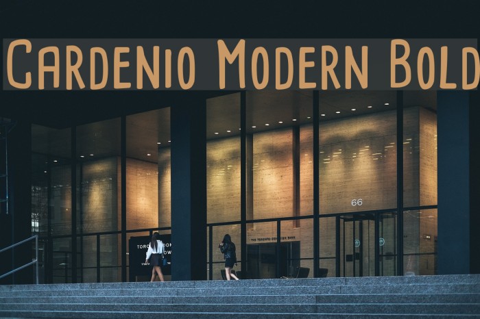 Cardenio Modern Bold Font examples
