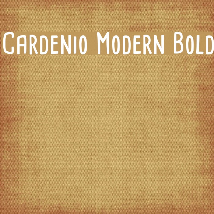 Cardenio Modern Bold Font examples