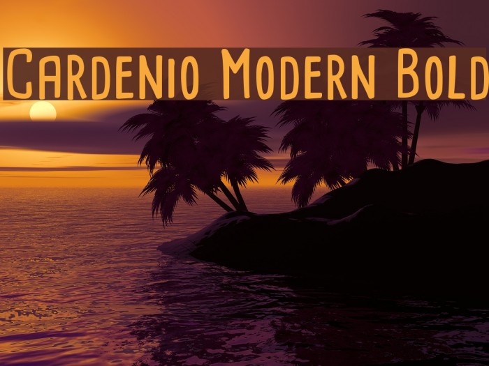 Cardenio Modern Bold Font examples