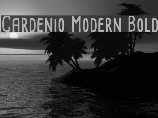 Cardenio Modern Bold Font examples