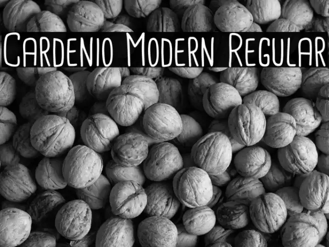 Cardenio Modern Regular Font examples