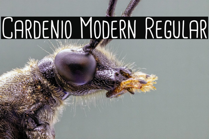 Cardenio Modern Regular Example 3