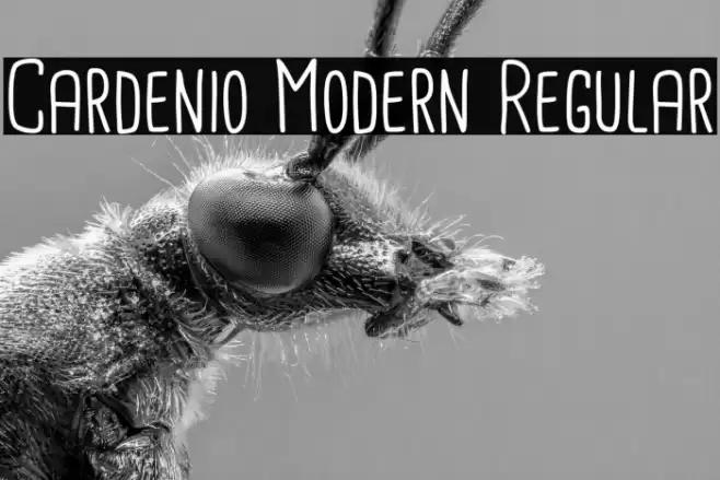 Cardenio Modern Regular Font examples