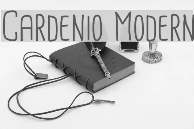 Cardenio Modern Font examples