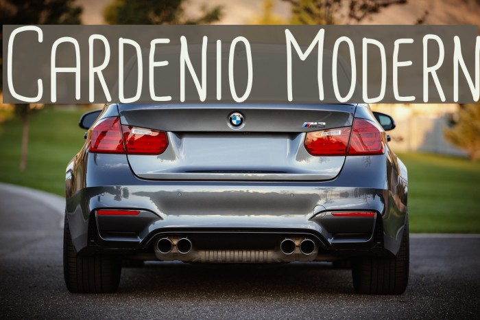 Cardenio Modern Font examples