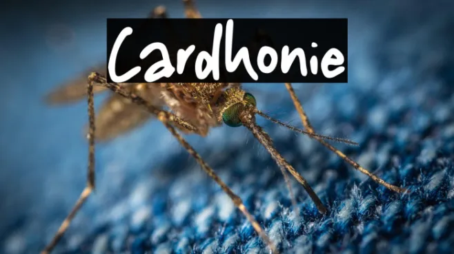 Cardhonie Example 1