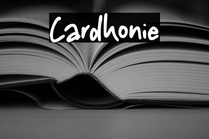 Cardhonie Example 3