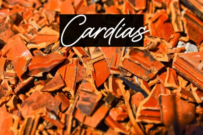 Cardias Example 1