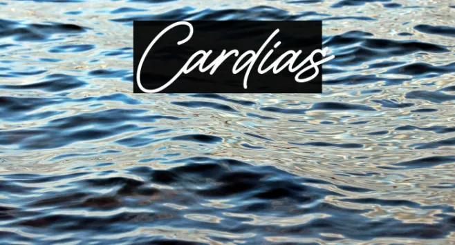 Cardias Example 2