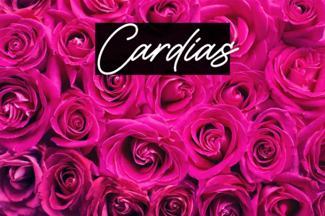 Cardias Example 3