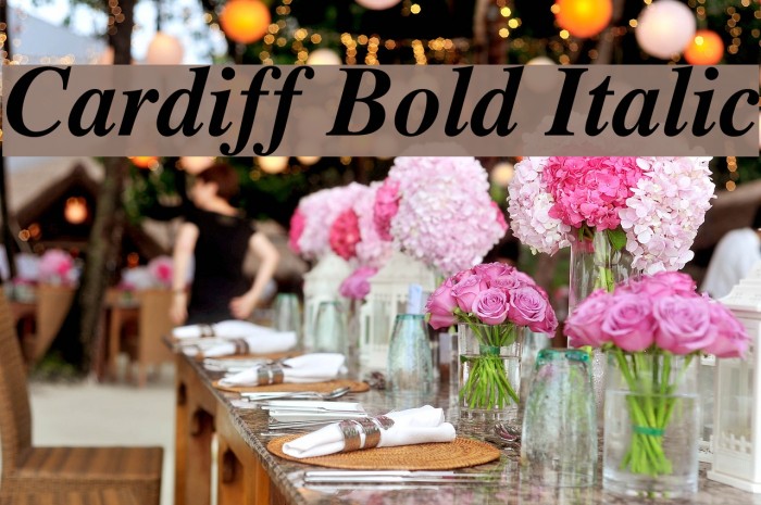 Cardiff Bold Italic Font examples