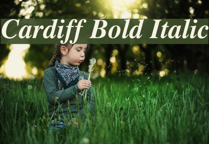 Cardiff Bold Italic Font examples