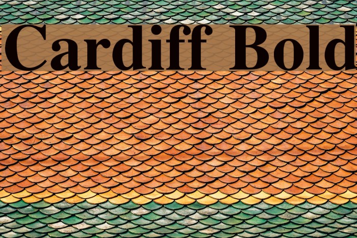 Cardiff Bold Font examples
