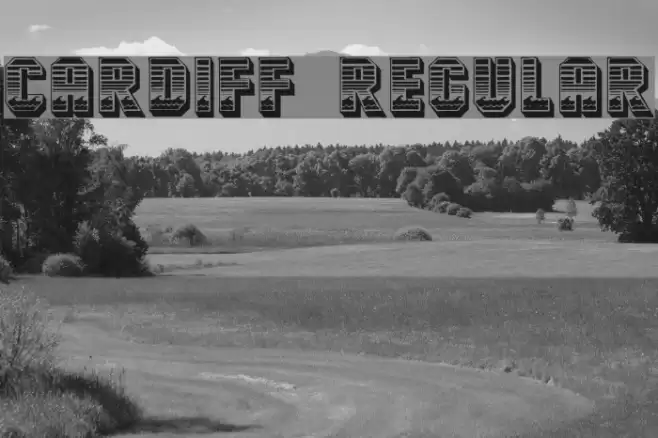 Cardiff Regular Font examples