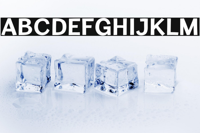 CardiganTitlingRg-Bold Example 2