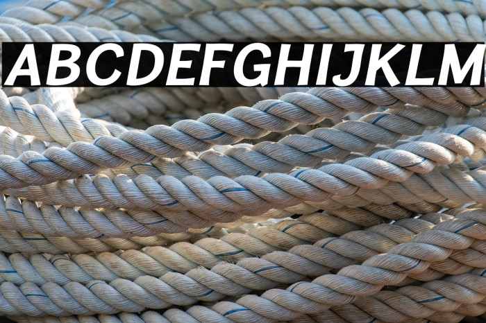 CardiganTitlingRg-BoldItalic Example 3