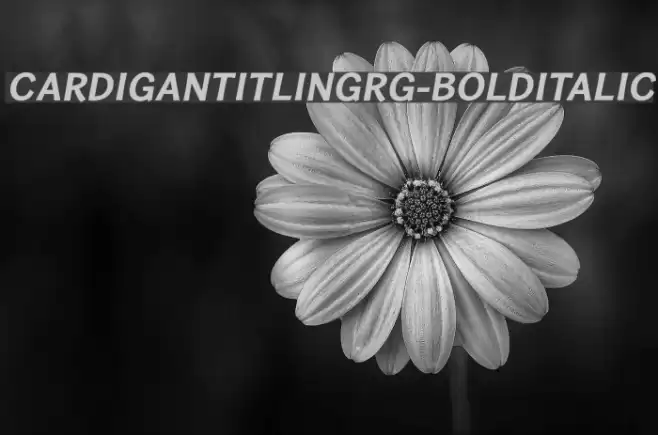 CardiganTitlingRg-BoldItalic Polices examples