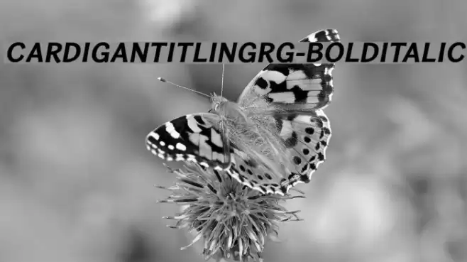 CardiganTitlingRg-BoldItalic Polices examples