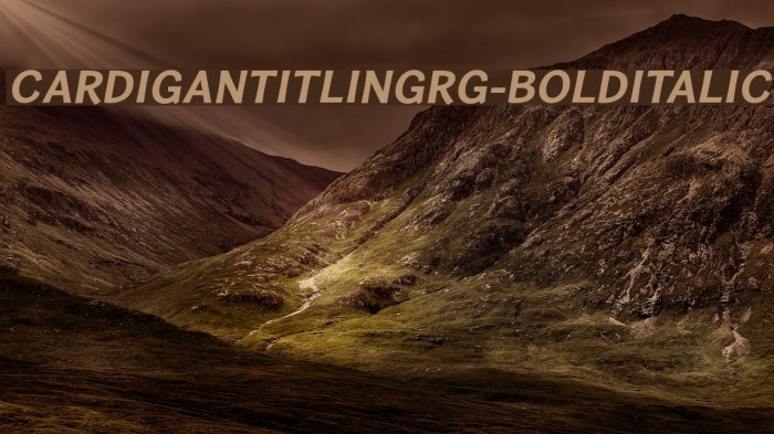 CardiganTitlingRg-BoldItalic Font examples