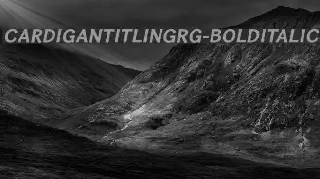 CardiganTitlingRg-BoldItalic Polices examples