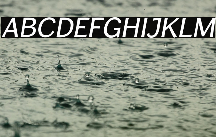 CardiganTitlingRg-Italic Example 3