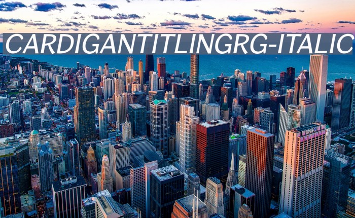 CardiganTitlingRg-Italic Font examples