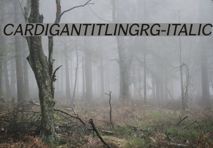 CardiganTitlingRg-Italic Font examples