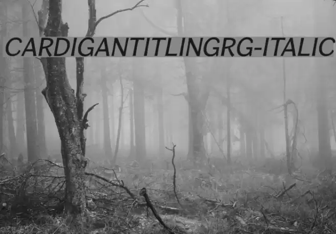 CardiganTitlingRg-Italic examples