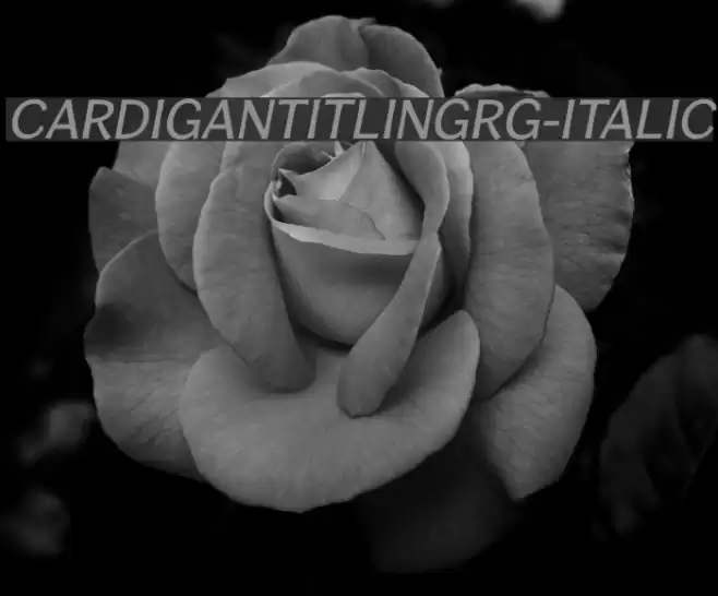 CardiganTitlingRg-Italic examples